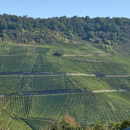 Gudrun * Bernkastel-Kues