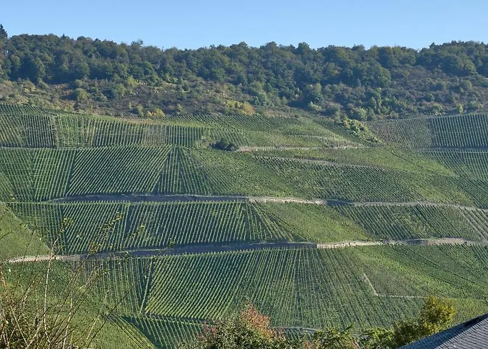 Gudrun * Commune fusionnée de Bernkastel-Kues